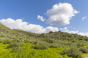 Safari Park Biodiversity Reserve
