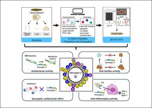 Graphical Abstract