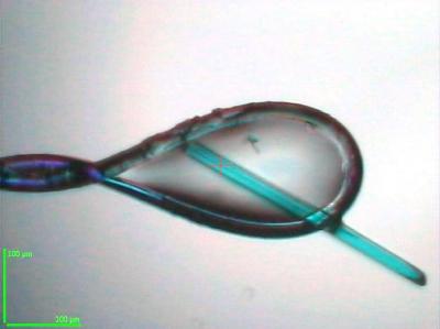 mTurquoise2 Crystal