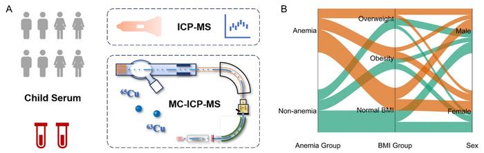 THE DESIGN OF THE EXPERIMENTAL WORKFLOW (A) AND COHORT GROUPING INFORMATION (B).
