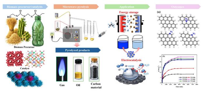 Biochar-based carbon nanomaterials: precursor variability and structure-property heterogeneity for energy-environmental applications