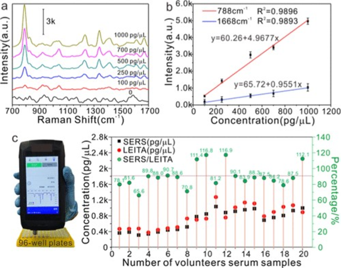 Novel Surface-enhanced Raman Spectroscopy Method Realizes the Quantitative Detection of Anticancer Drugs in Serum