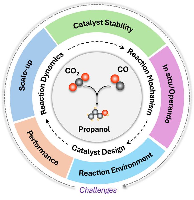 The critical interconnected factors governing the efficient conversion of CO2 and CO into the valuable fuel propanol.