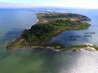 High and Low Marsh