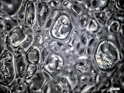 Polyurethane Foam