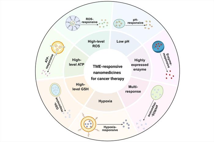 TME-responsive nanomedicine utilizes the inherent physiological and biochemical signals of the tumor microenvironment to achieve precise drug delivery.