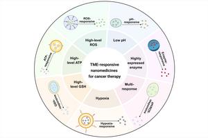 TME-responsive nanomedicine utilizes the inherent physiological and biochemical signals of the tumor microenvironment to achieve precise drug delivery.