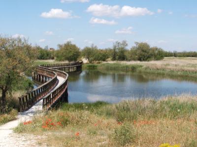 Tablas de Daimiel Park