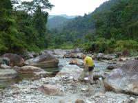 Collecting sediment
