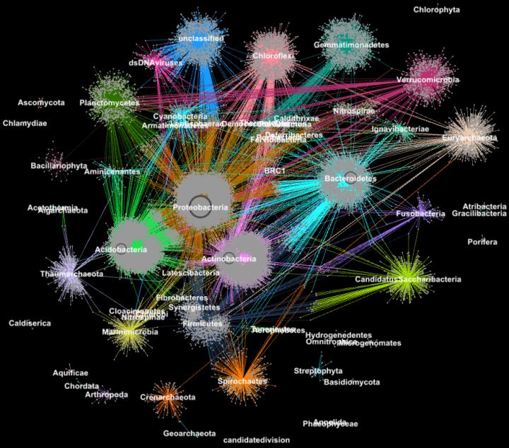 Big Data Biology