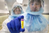 SFTS Virus in a Test Tube