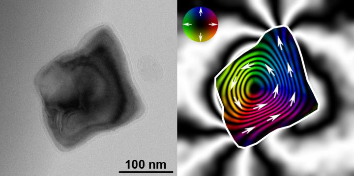 Magnetite Nanocrystal and Magnetic Vortex Structure