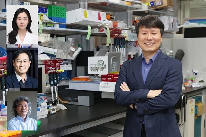 A Breakthrough in Parkinson's Research: Precision Diagnosis and Treatment with AI and Optogenetics​