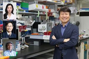 A Breakthrough in Parkinson's Research: Precision Diagnosis and Treatment with AI and Optogenetics​