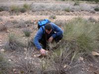 Searching for the New Species