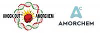 2019 AmorChem KNOCK OUT