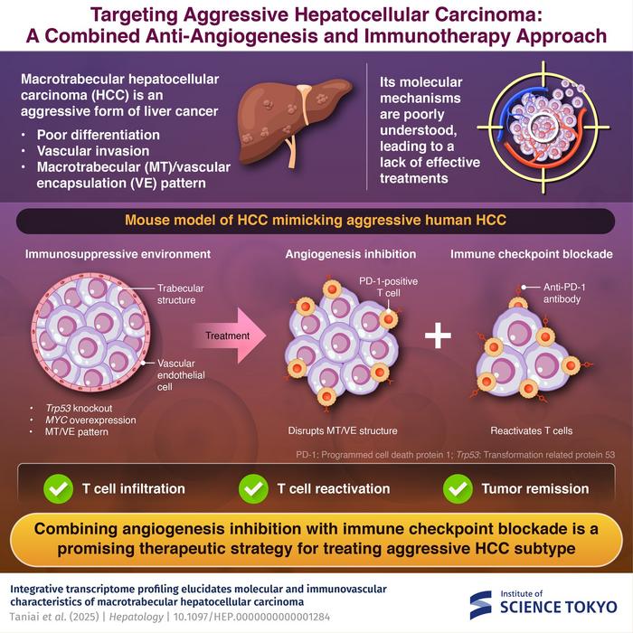 A novel treatment strategy for hepatocellular carcinoma (HCC) management