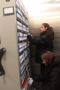 Marine Mammal DNA Library