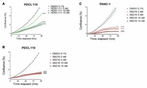 Dual targeting of oncogenic microtubules and mitochondria in PDAC