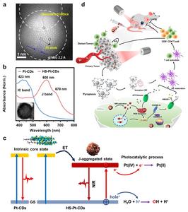 Figure | J-Type Assembled Pt(IV)-Coordinated Carbon Dots for Near-Infrared Light-Triggered Pyroptosis.