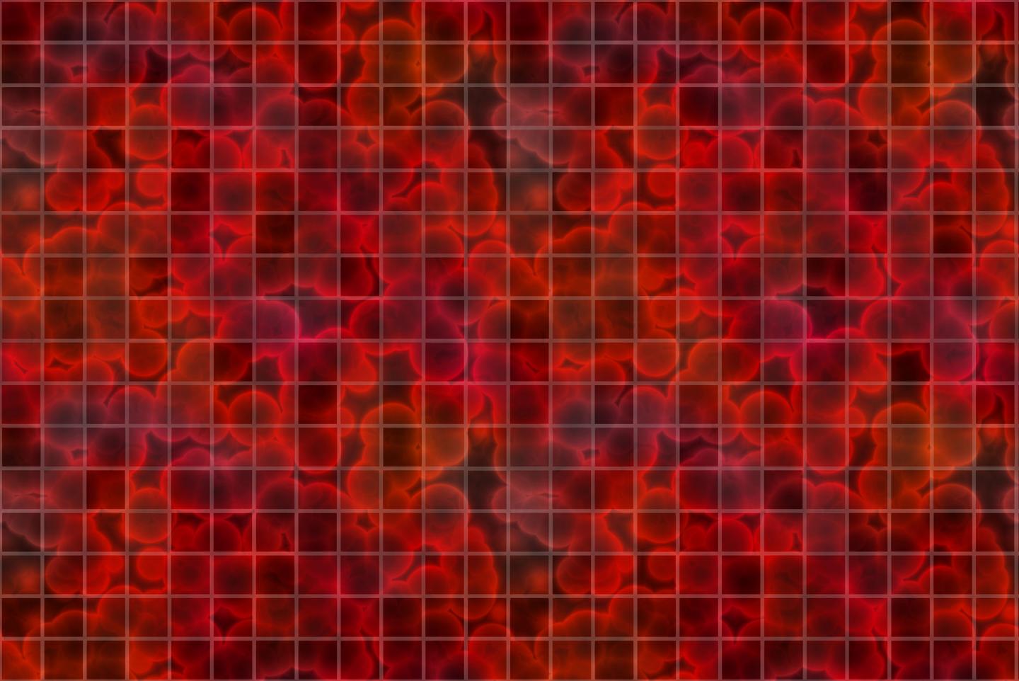 Blood Cells