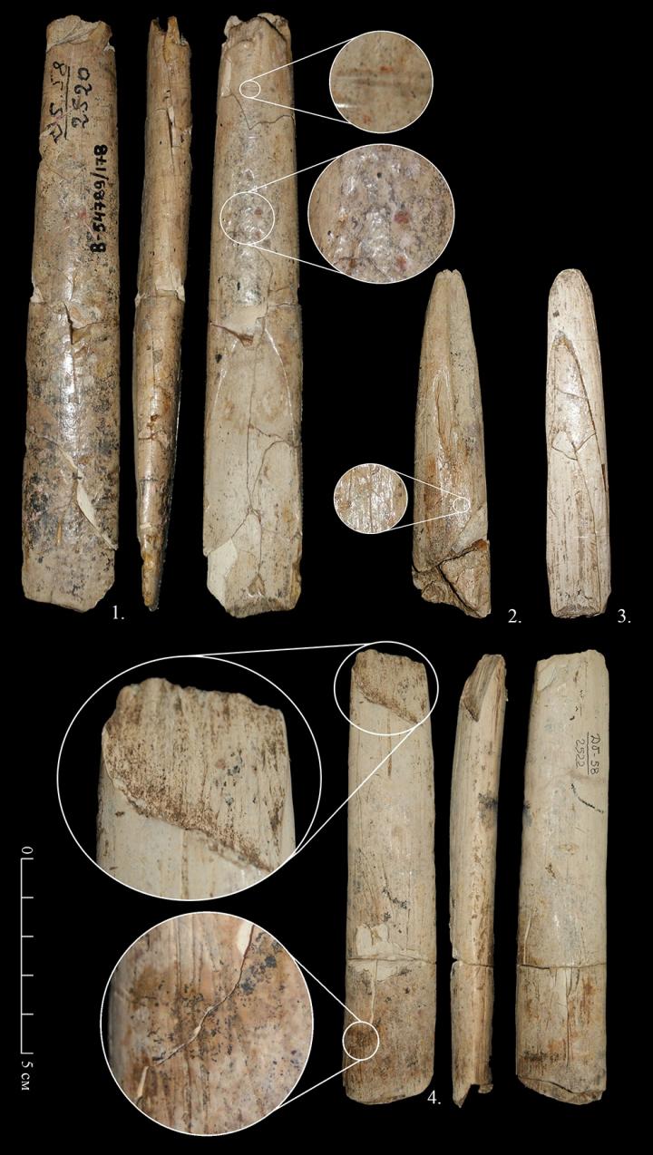Hunting Instruments