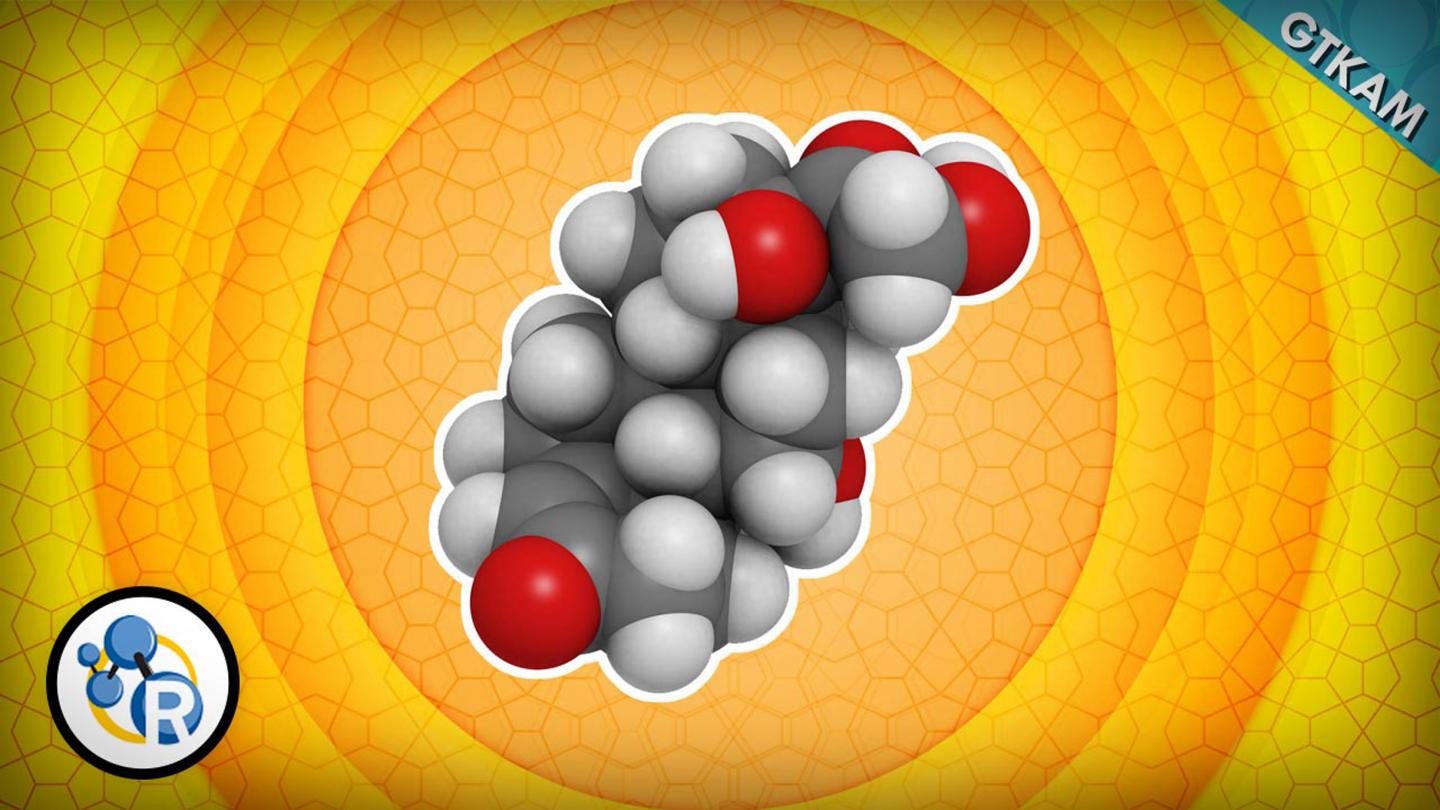 The Science of Stress