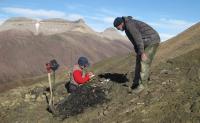 Collecting samples
