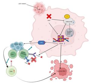 Mechanism of LSD1 Inhibition in Reversing OSCC Preneoplasia.