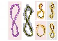 Structure of Supercoiled DNA (2 of 2)