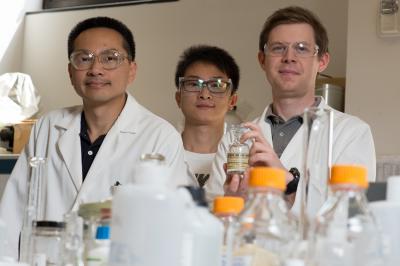 Researchers Register 4th 'Volcano Plot' for Palladium-Gold Catalysts