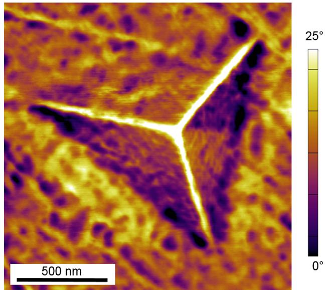 Atomic Force Microscope Image