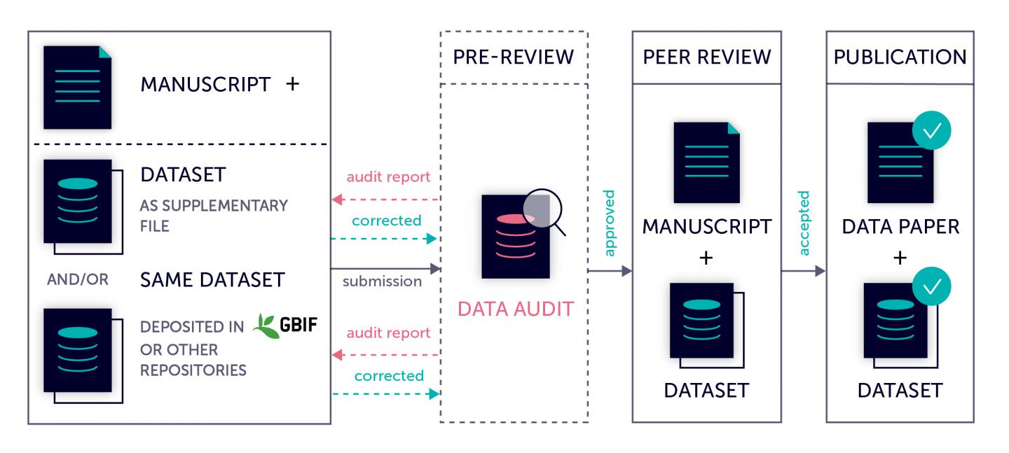 Data Audit Workflow Provided at Pensoft