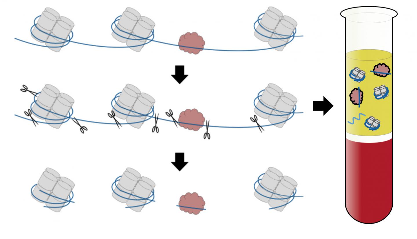 New Approach to Liquid Biopsies
