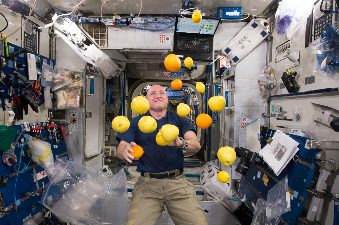 Peek Into Your Genes: NASA One-Year Mission Investigators Identify Links to Vision Problems