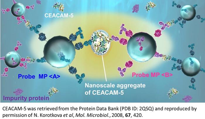 Microflow-type light-induced acceleration system for rapid and sensitive disease biomarker detection