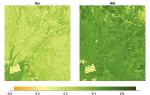 Satellite image of greenery