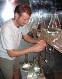 Experimental Set-Up