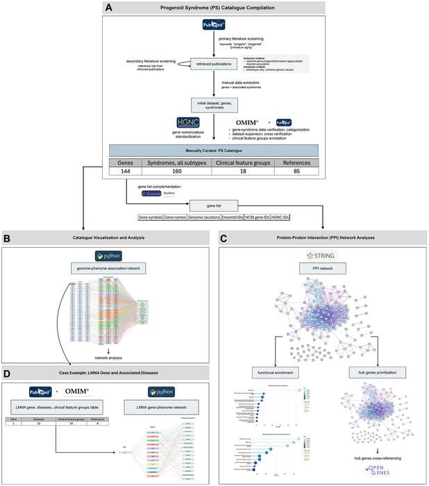 A manually curated gene–phenotype catalogue for progeroid syndromes and premature aging