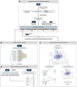 A manually curated gene–phenotype catalogue for progeroid syndromes and premature aging