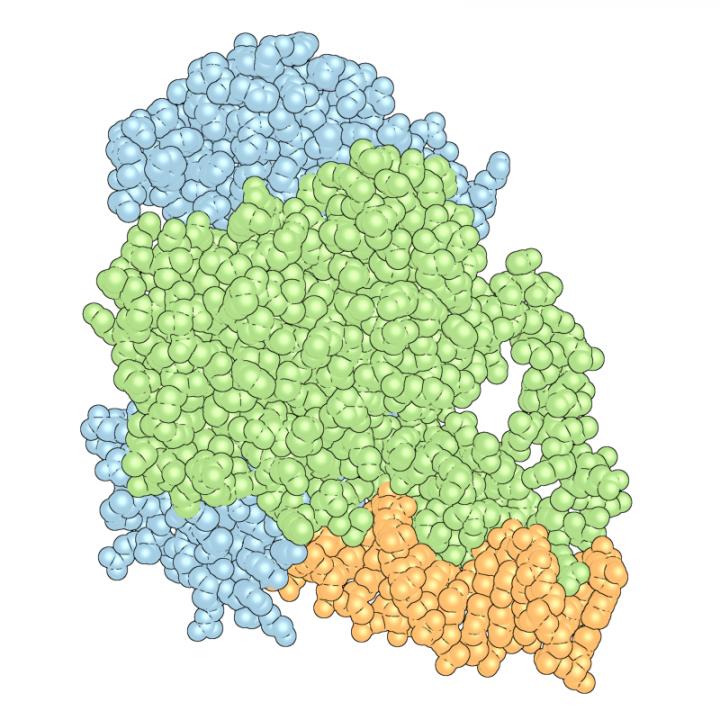 Nuclear Receptors