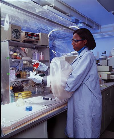 Bioremediation Experiments
