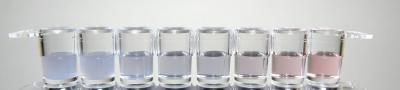 Melamine Detection in Water