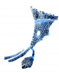 Joint Cells