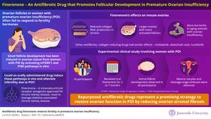 Finerenone – An antifibrotic drug that counters premature ovarian insufficiency