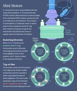 Global Mechanical Coupling Graphic