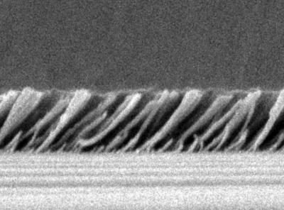 Silica Nanorods