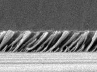 Silica Nanorods