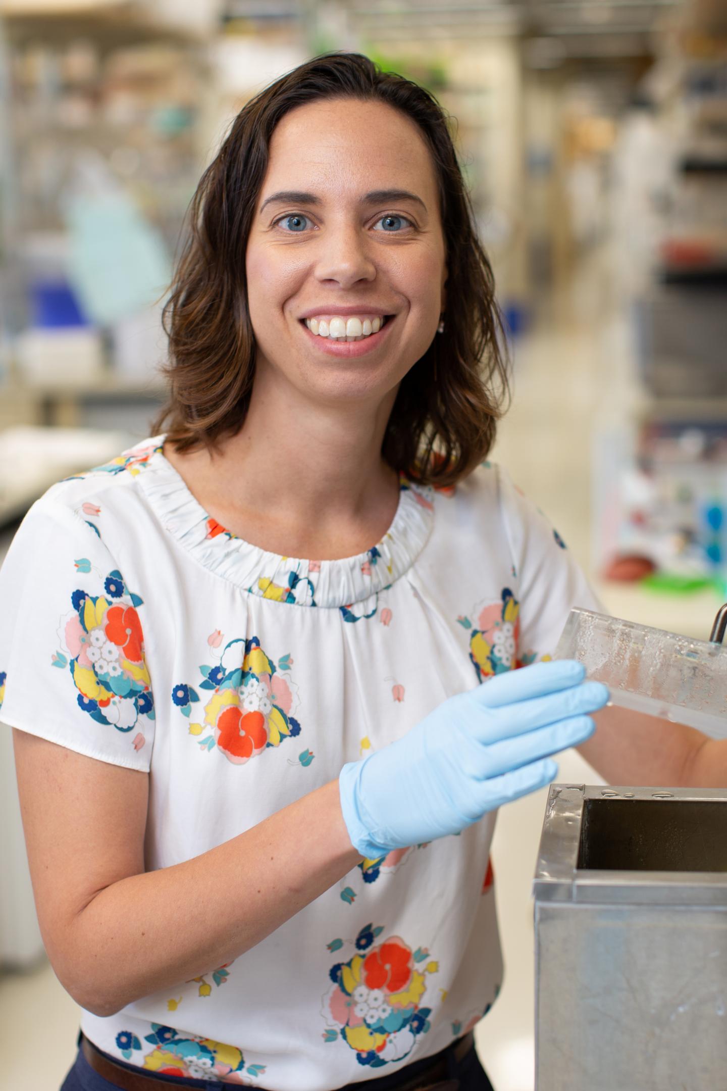 Diana Hargreaves, Molecular and Cell Biology Laboratory