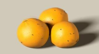 Disgust Circuit: Flies Sniff Out and Avoid Spoiled Food (1 of 3)
